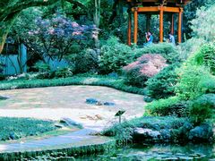 -杭州植物园