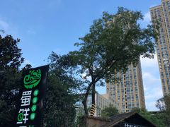 -二荆条·蜀鲜汇城市森林火锅