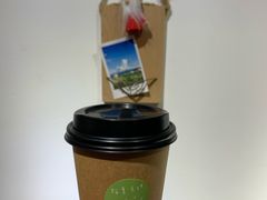 乌龙茶-猫里有甜