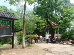 -大蜀山国家森林公园