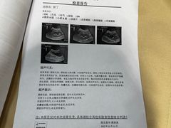 -伟伟宠物医院·CT影像中心·瑞派犬猫综合性门诊(汉口总院)