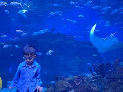 -海合安成都极地海洋公园