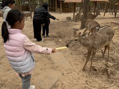 -南戴河国际娱乐中心