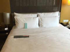 -青岛富力艾美酒店