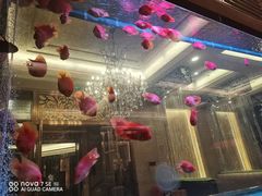 -星河湾半岛酒店-真粤中餐厅