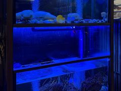 -家贺屋刺身寿司专门店