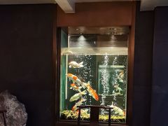 -浩运·海鲜青岛菜·海胆水饺(石老人店)