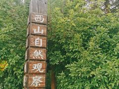 -北京西山国家森林公园