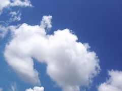 -武吉知马自然保护区