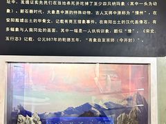 -河南自然博物馆