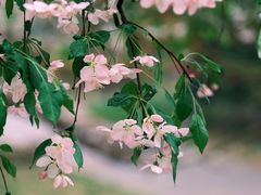 -海棠花溪(元大都城垣遗址公园)