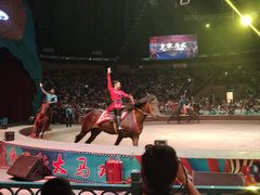 -俄罗斯国家大马戏团