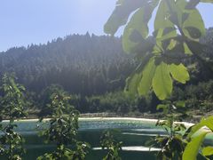 -武陵山森林公园