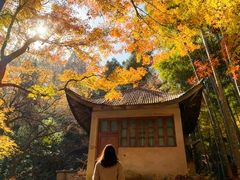 -莫干山风景区