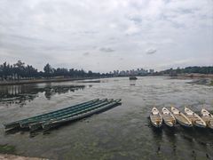 -龙舟池