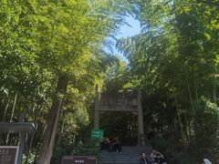 -紫金山山顶公园