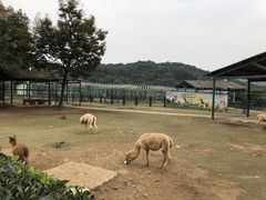-无锡动物园·太湖欢乐园