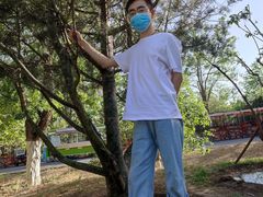 -永定河休闲森林公园