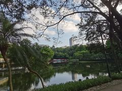 -晓港公园