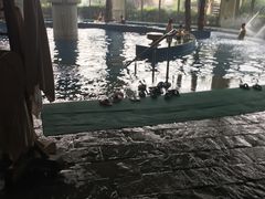 -仁爱团泊湖温泉中心