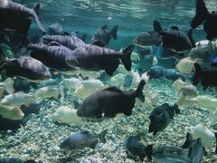 -成都浩海立方海洋公园