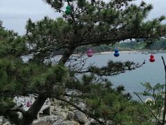 -小长山岛景区