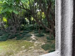 -蠡湖中央公园