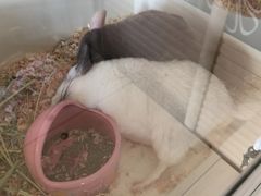 -龙猫仔乐园(惠福东路店)