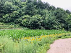 -北京山里寒舍度假酒店