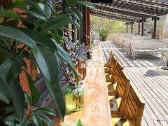 -Local泰莲庭(虹鳟鱼店)