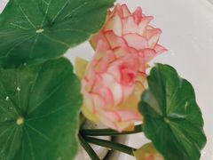 -马家斑.鲜鱼火锅(松湖万科店)