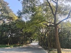 -春兰国宾馆(凤城河风景区老街店)
