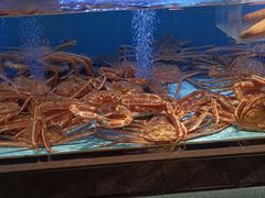 -阿伟海鲜楼·福建菜(延寿店)