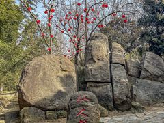 -沂蒙云瀑洞天景区