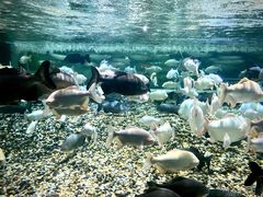 -成都浩海立方海洋公园