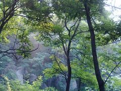 -鲁山国家森林公园