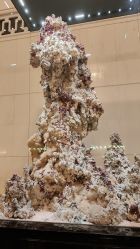 -人民大会堂宴会厅