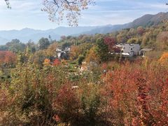 -塔川景区