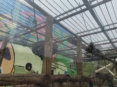 -鄂尔多斯野生动物园