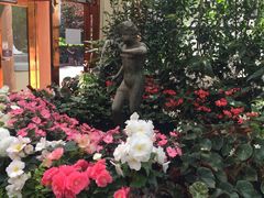 -斐兹洛伊花园