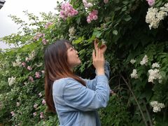 -北京鹫峰国家森林公园