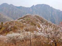 -大岭沟猕猴桃谷风景区