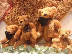 -济州岛泰迪熊博物馆