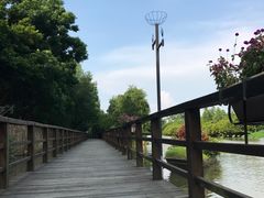 -大湾区中央湿地公园