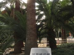 -苏州河梦清园环保主题公园