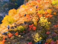 -狼牙山风景区