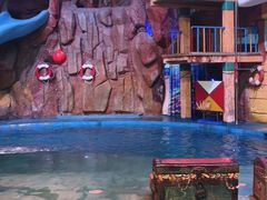 -烟台海昌鲸鲨海洋公园