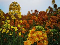 -中国天府农业博览园