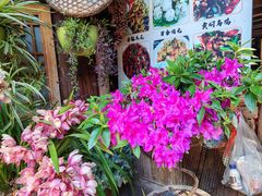 -龙姐私房菜(和顺古镇店)