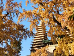 -北京石刻艺术博物馆(五塔寺)